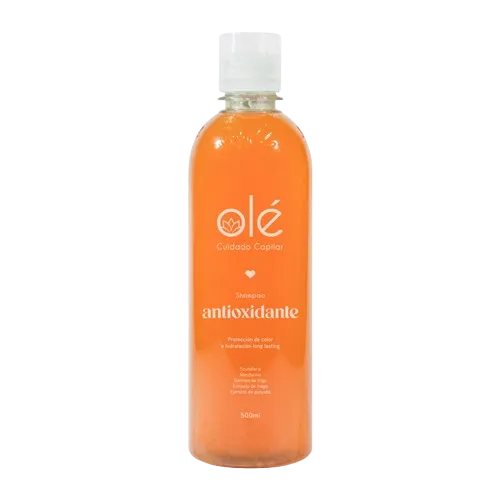 Shampoo Antioxidante y Brillo Mix de Frutas